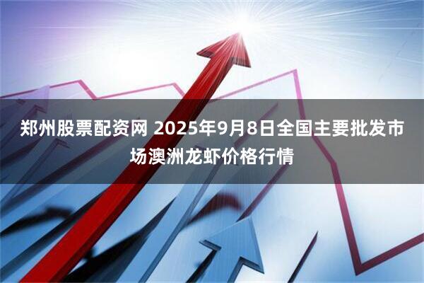 郑州股票配资网 2025年9月8日全国主要批发市场澳洲龙虾价格行情